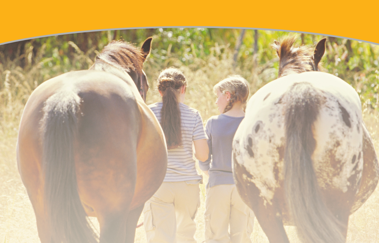 Workshop with kids and horses