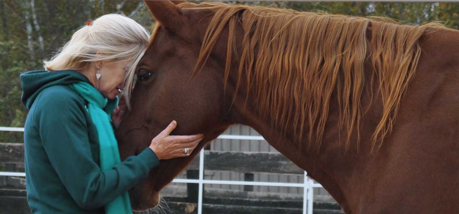 Horse and Human Trust